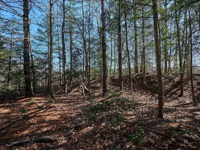 0 Pine Hill Rd, Russell, MA, 01071