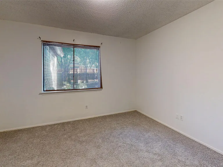 1804 Windsong Trl — Photo 9