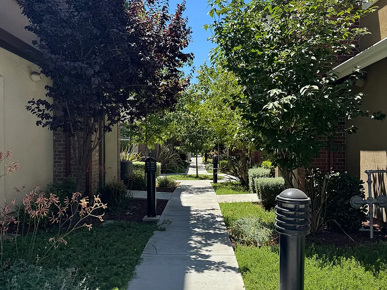 1026 Abruzzo Ln #1 — Photo 19