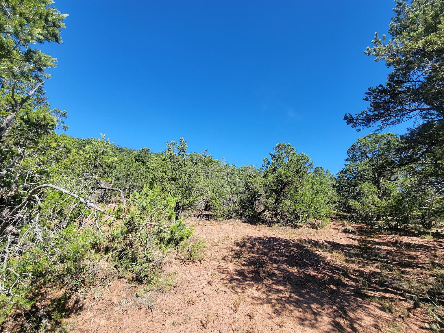 35 Snowline Norte, Cedar Crest, NM 87008 Zillow