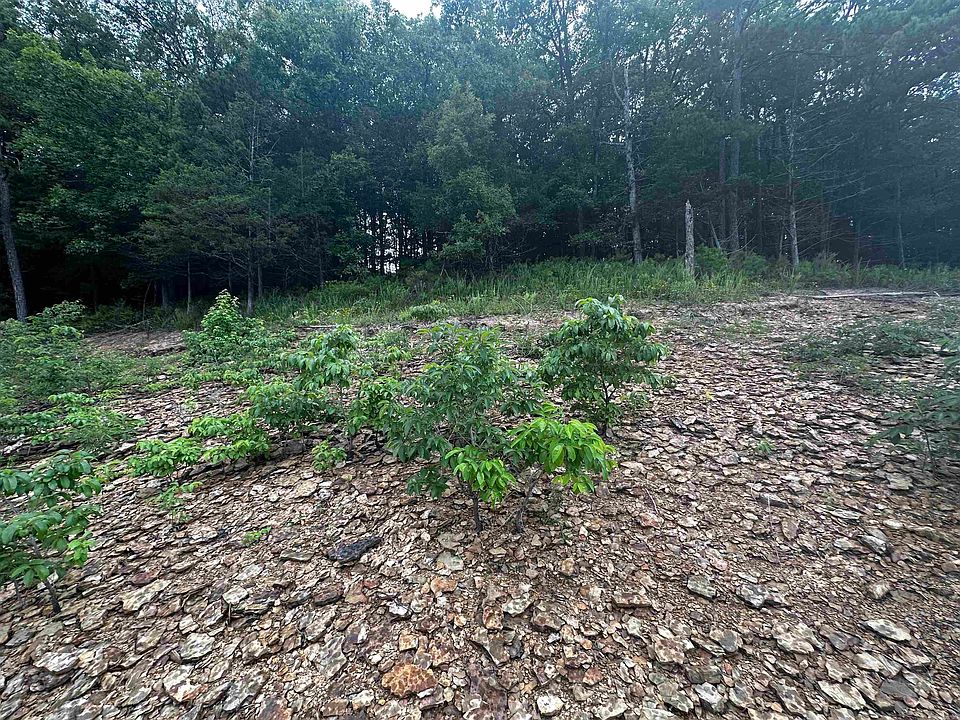 2nd image of LOT 72 Cobalt Bay Dr Lot 72