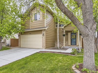 285 N Holcomb Street, Castle Rock, CO, 80104
