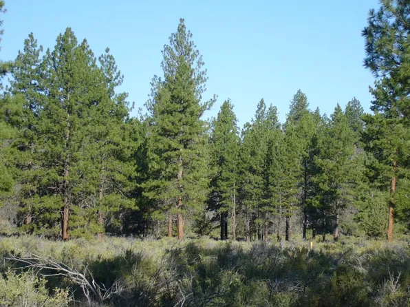 20 Acres Off, Macdoel, CA 96058