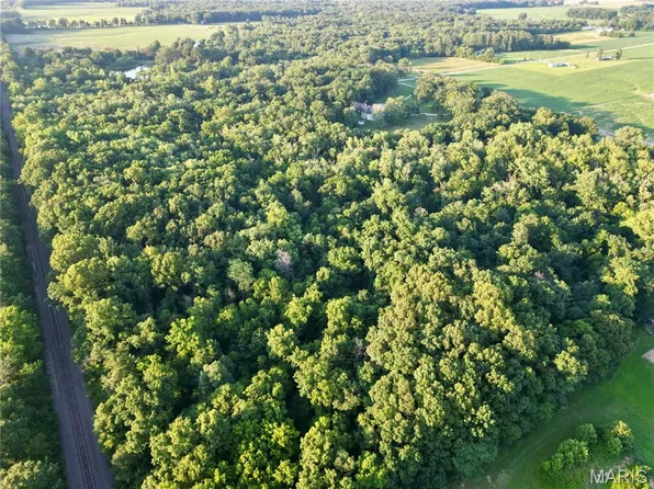 0 County Farm Rd, Kell, IL 62853