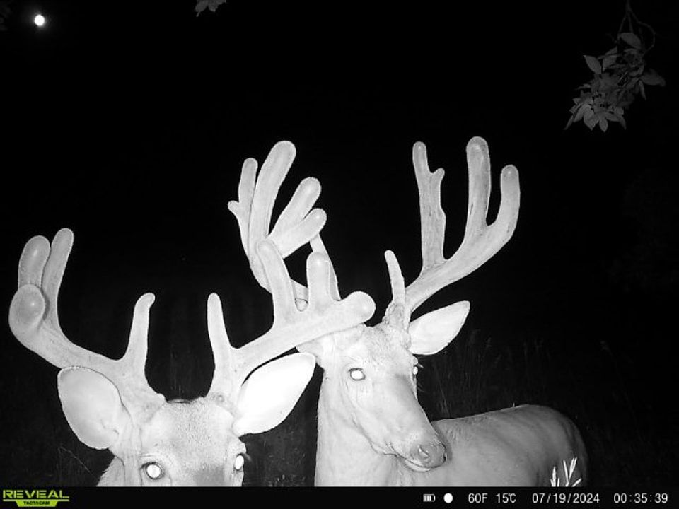 1st image of 115th St