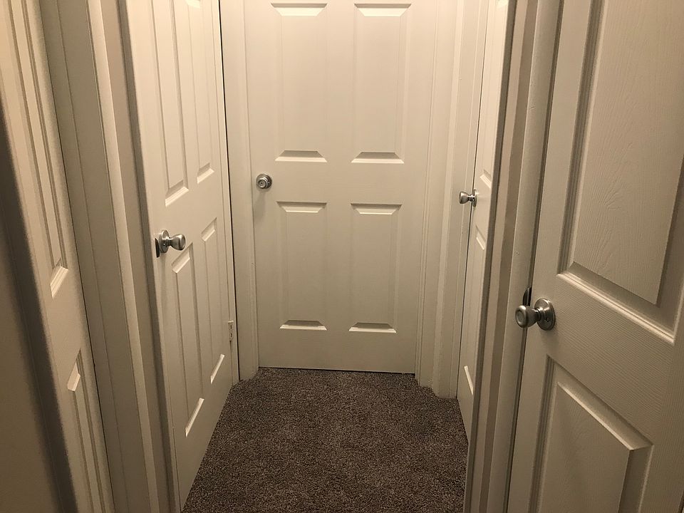 All new interior doors