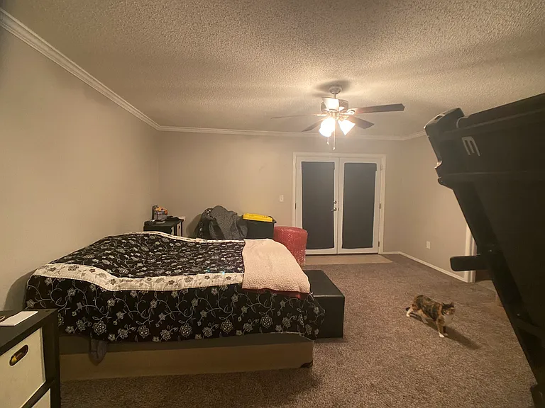 309 Curts Dr — Photo 12