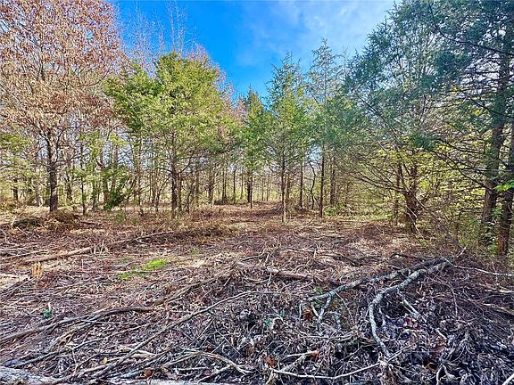 3rd image of LOT Twelve White Oak Estates Ln