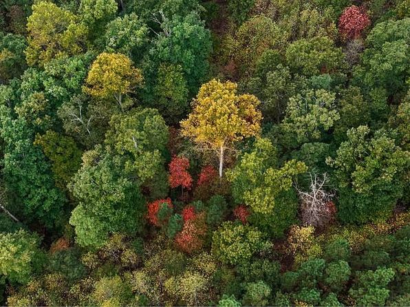 176 Paddington Pl LOT 6