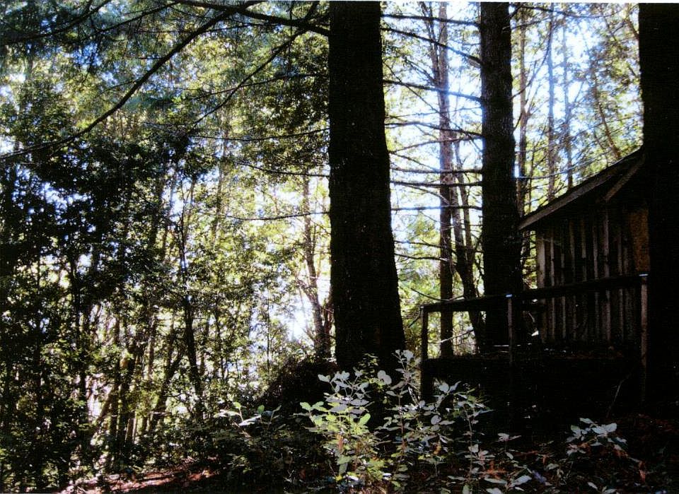 70790 Dr, Leggett, CA 95585 Zillow