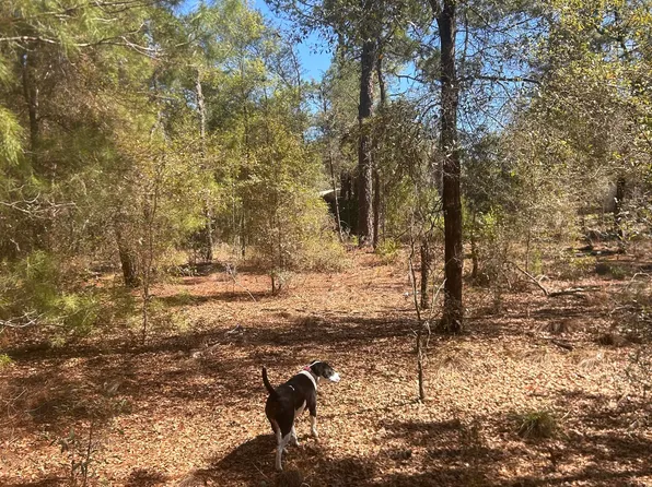 0 HONEYSUCKLE Trail, Hawthorne, FL 32640