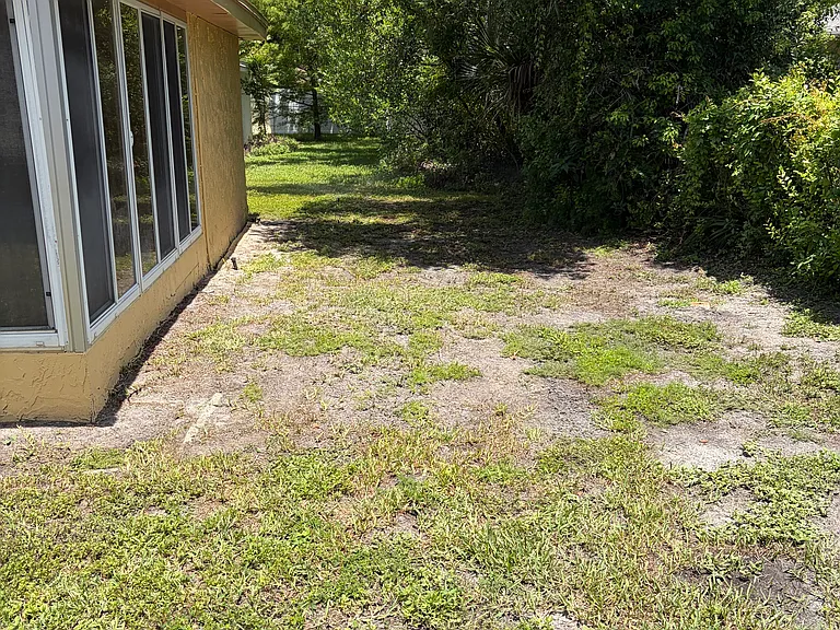 Backyard