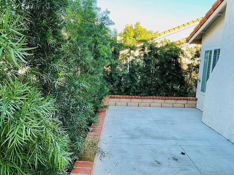 27725 Calle Valdes — Photo 21