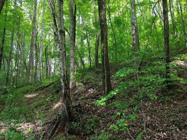 115 Calvender Rd, Turtletown, TN 37391