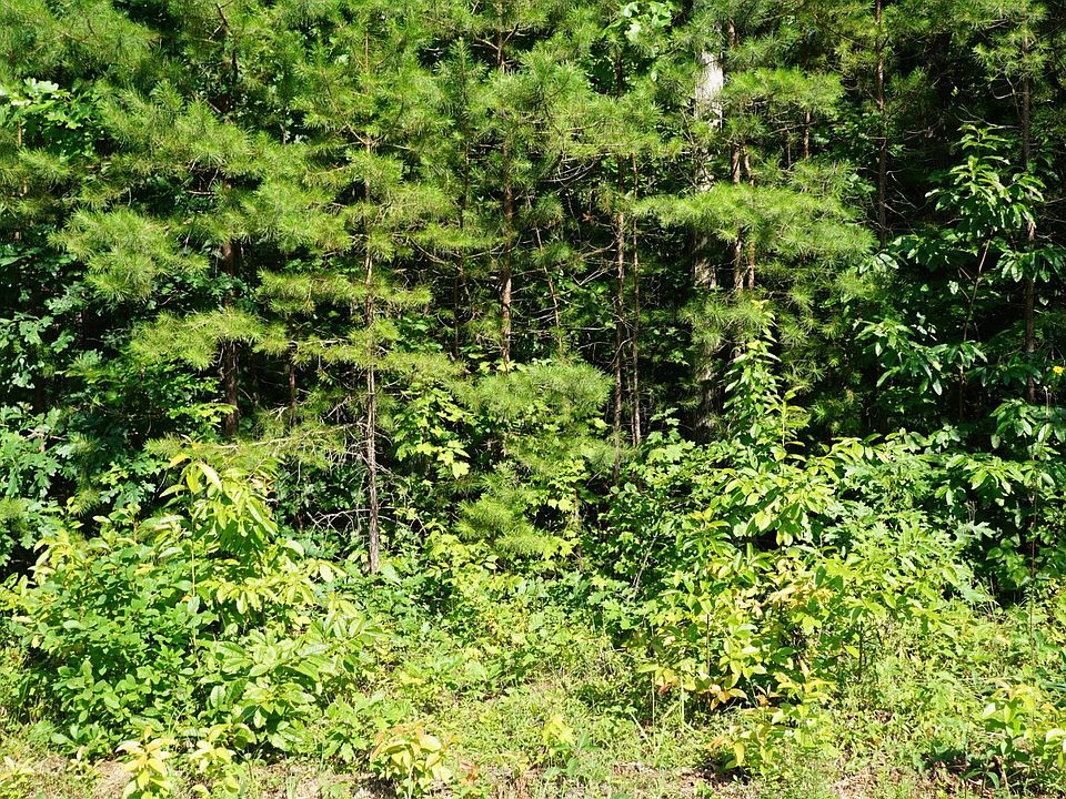 1st image of 0 Wallace Way Lot 22