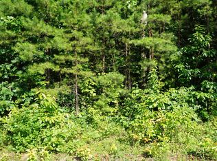 0 Wallace Way LOT 22, Clarkrange, TN 38553