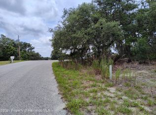 16247 Donney Moor Ln, Spring Hill, FL 34610