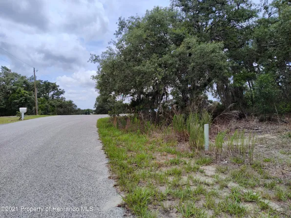 16247 Donney Moor Ln, Spring Hill, FL 34610