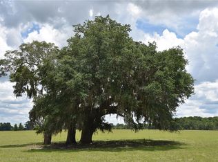 5350 NW 80th Ave, Chiefland, FL 32626