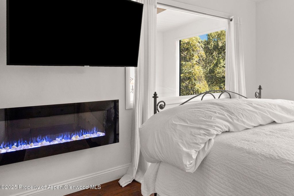 1024 E Cooper Ave APT 8, Aspen, CO - View 6