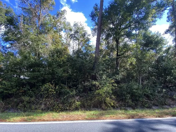 SW Sisters Welcome Rd, Lake City, FL 32025