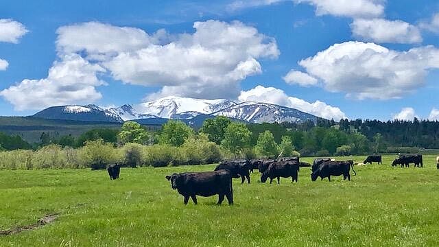 1st image of Sunnyslope Land & Cattle Co