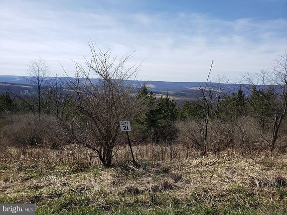 4th image of 12486 Summit Cir