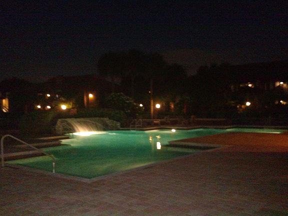 Main Pool View