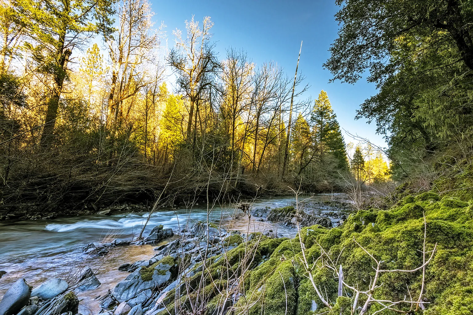 1800 Arrowhead Dr #O photo 1