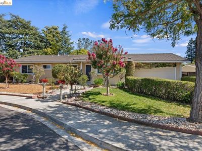 2668 Sandpiper Ct, Walnut Creek, CA, 94597