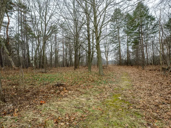 0A Linke Rd, Bridgman, MI 49106