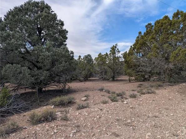 LOT 1 D Side Hill Pass, Pioche, NV 89043