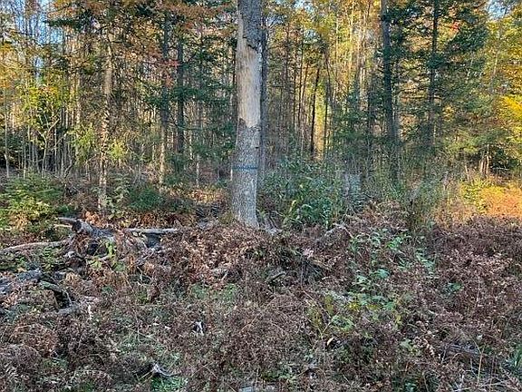 4th image of V/l Lansing Rd