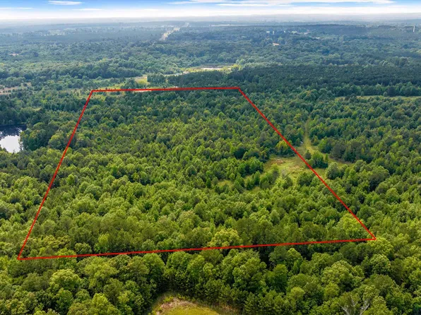 Private Road 1331 Tract 3, Elysian Fields, TX 75642