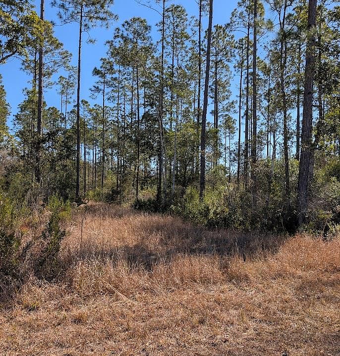 1st image of 846-5B Hickory Hammock Rd