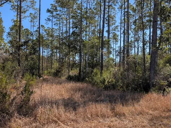 846-5B Hickory Hammock Rd, Carrabelle, FL 32322