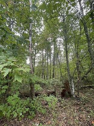 3rd image of 0 Fern Pl Lot 26