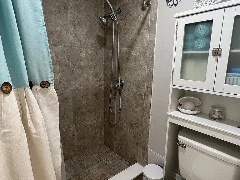 Master Bathroom Shower