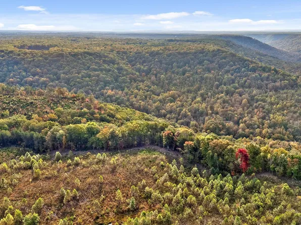 0 Roberts Rd, Spencer, TN 38585