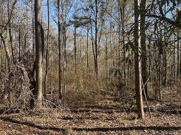 5th image of 298 County Road 358 #1