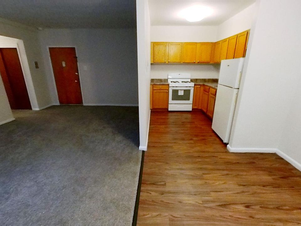 Living room, Dining room and kitchen