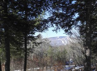 94 Birch Ln, Ludlow, VT 05149