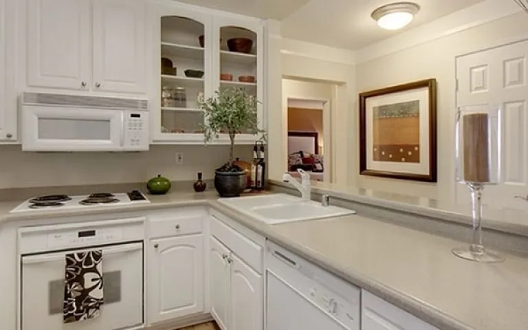 Classic Kitchen Image