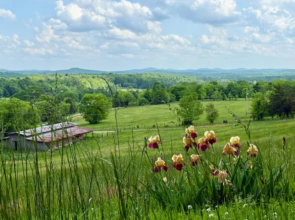 1933B Chicken Rd, Lebanon, TN 37090