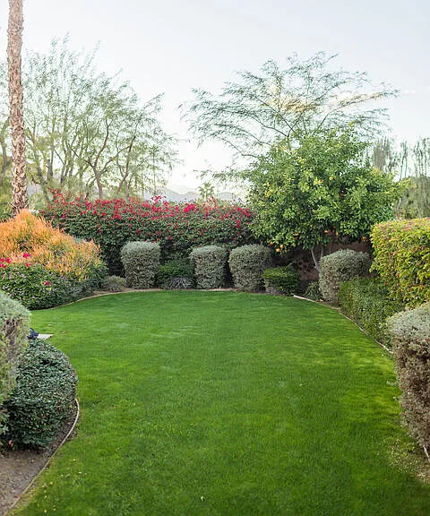 54155 Cananero Cir — Photo 45