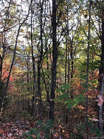 1st image of 67 Timber Park Dr