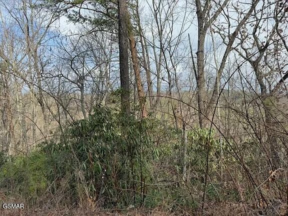 4th image of 973 Ridgefield Dr Lot 973