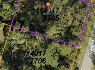 LOT 5 Ceasar Rd LOT 5, North Pt, FL 34288
