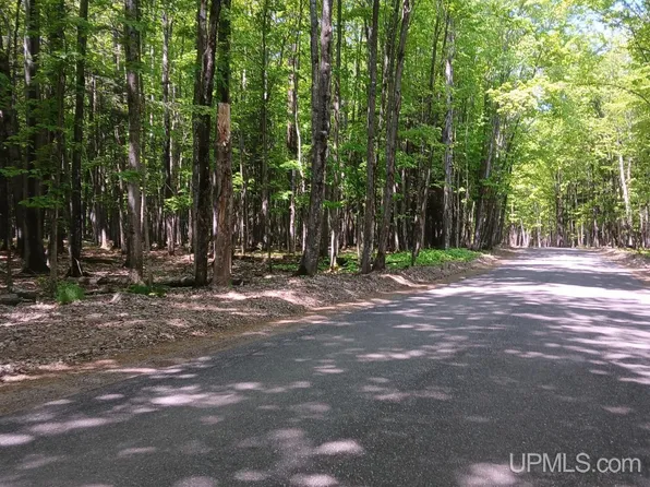 48 Acres Cres #Kk, Big Bay, MI 49808