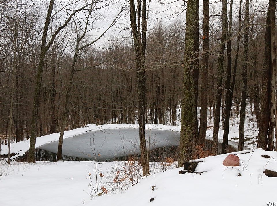22nd image of 9152 Lyman Rd Lot 30
